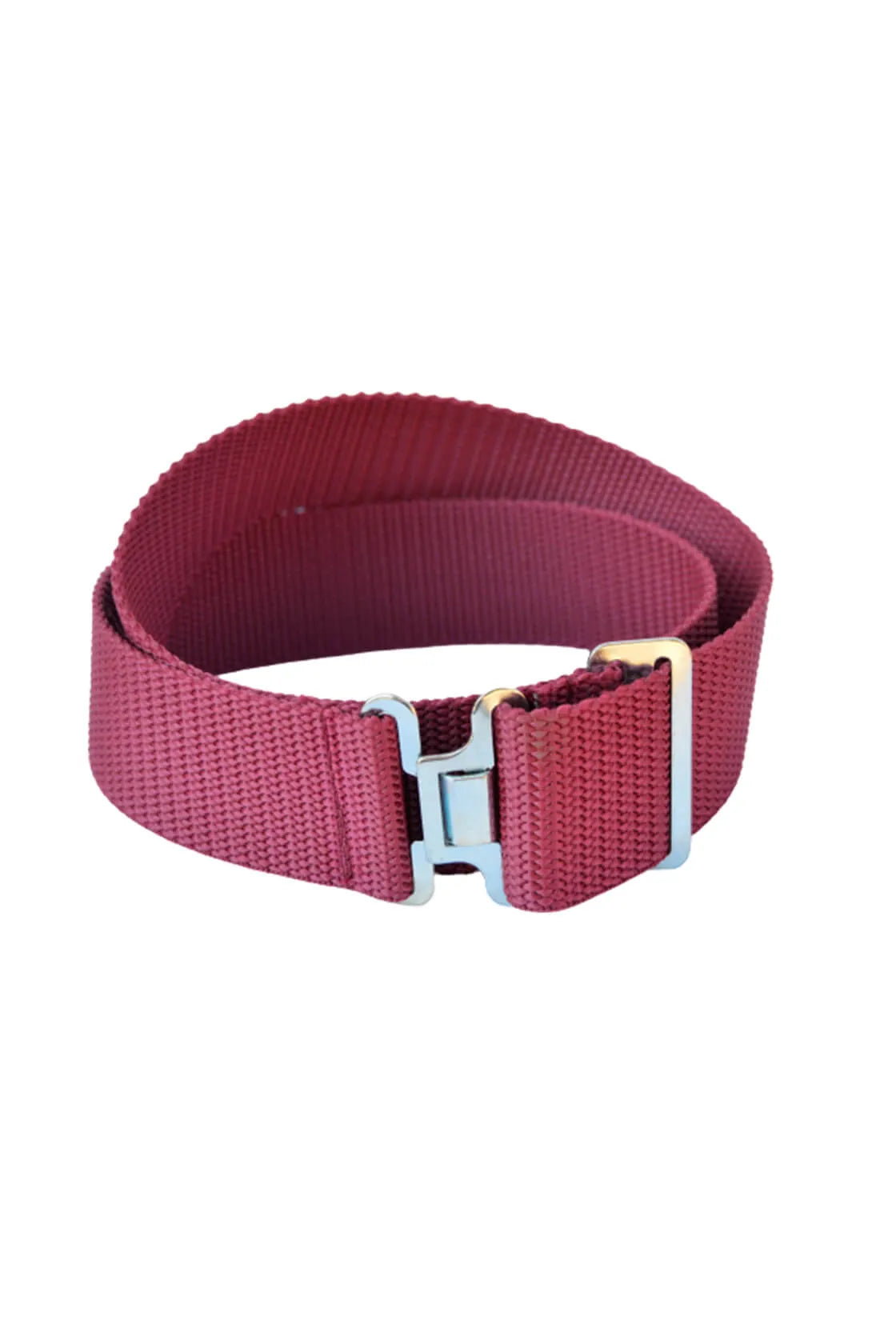 Web Belt with Buckle