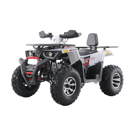 Tao Motors Braves 200 Off-Road Quad Bike (180cc)